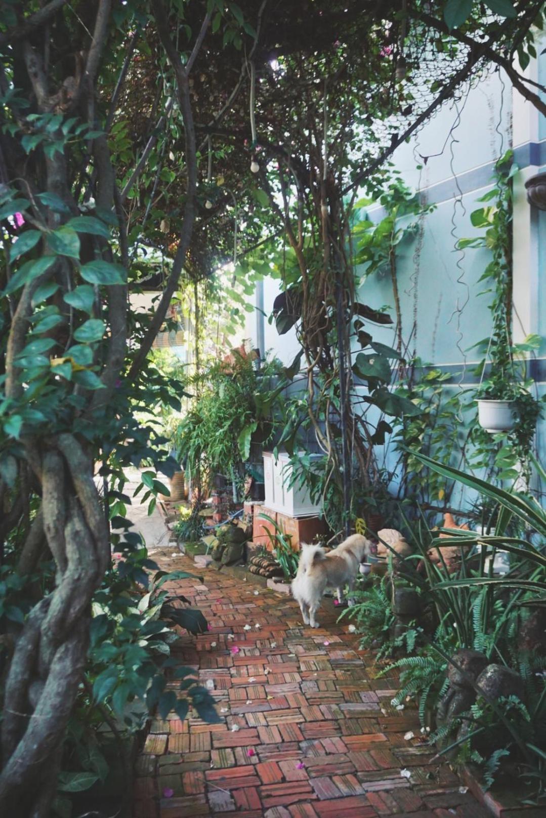 Mekong Pottery Homestay, Green-Friendly & Boat Tour Vĩnh Long Exterior photo
